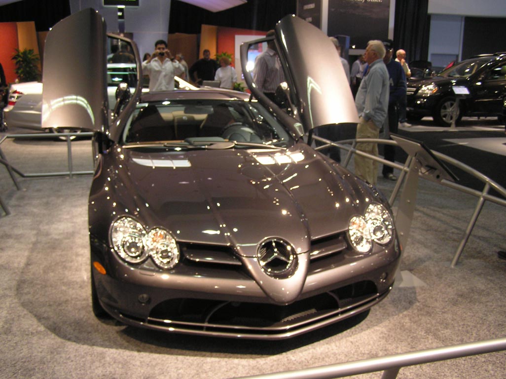 113 LA Auto Show 2006 P1010051