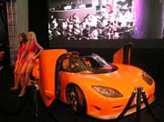 103 LA Auto Show 2006 P1010005
