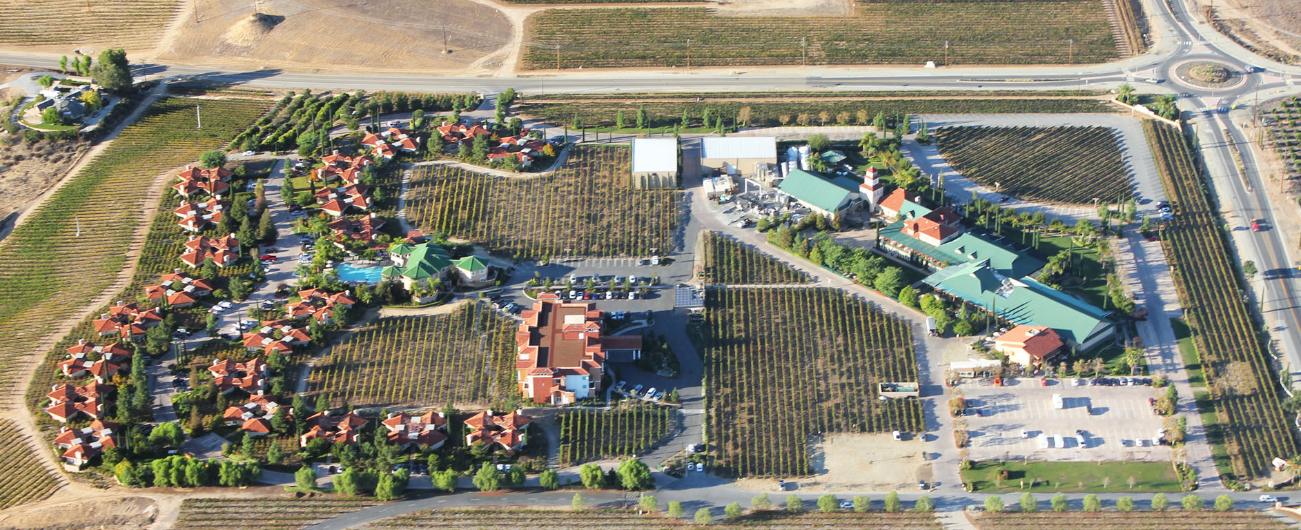 230-IMG_8582