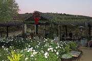 170-IMG_8471