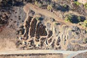 215-IMG_8609
