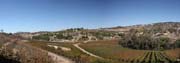 275-IMG_8650a Vineyard Panorama 1
