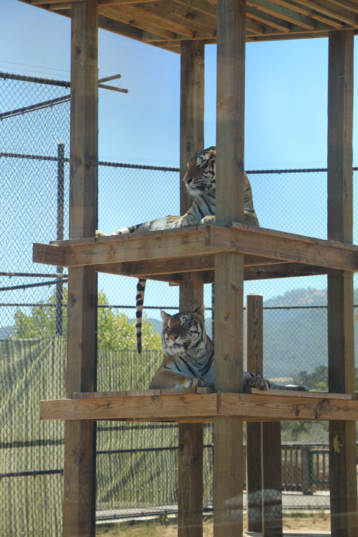 455 - IMG_0204