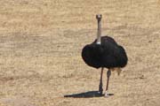 120 - IMG_9717a