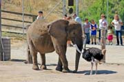 200 - IMG_9762a