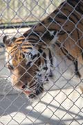 205 - IMG_9801
