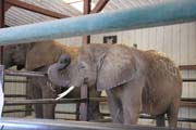 210 - IMG_9858
