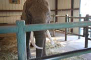 215 - IMG_9865