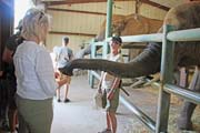 220 - IMG_9878a