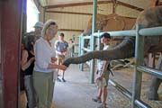225 - IMG_9881a