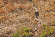 301 - IMG_9967a