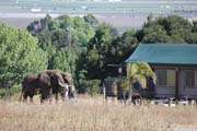 304 - IMG_9979