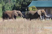 307 - IMG_9991a
