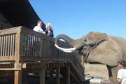 330 - IMG_0027