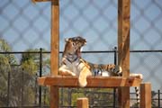452 - IMG_0187