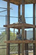 455 - IMG_0204