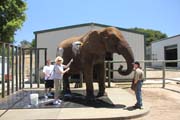 505 - IMG_0270
