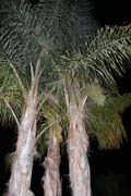 017-IMG_6395