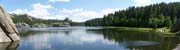 029 Bob-100_4948