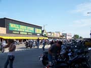 100 Victoria-100_6833