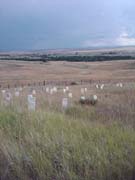 111 Victoria-IMG00159-20090807-1509