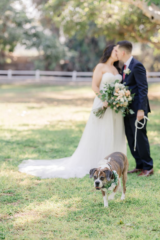 0545 Bride-Groom-00086