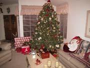 Xmas2009 101 - IMG_0289