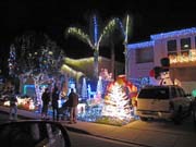 Xmas2009 105 - IMG_0281