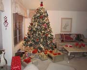 001-IMG_0019