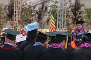 235 - IMG_9710a