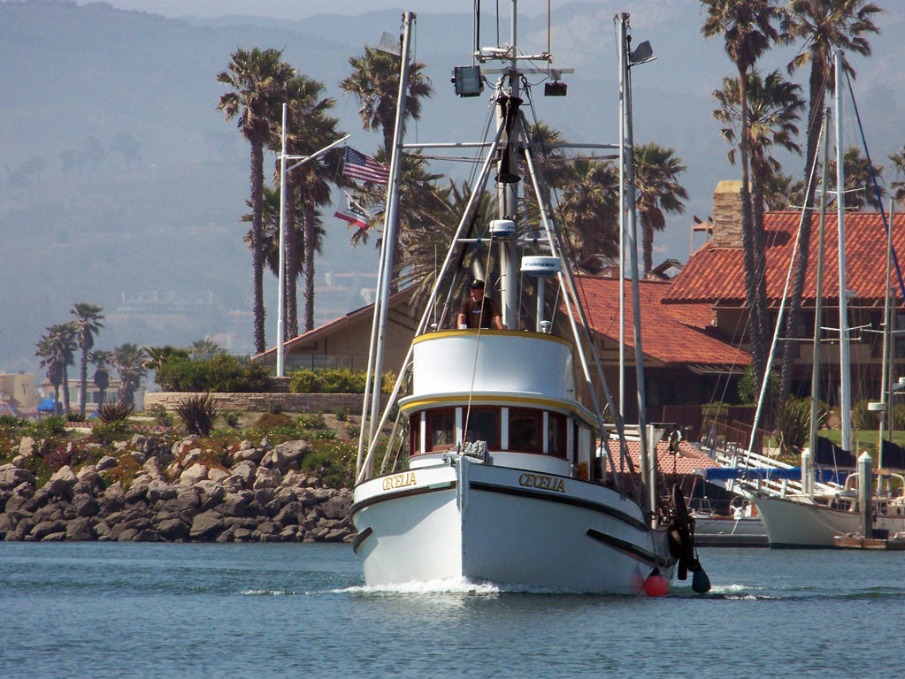 Arch Rock Boat Trip 086