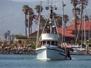 Arch Rock Boat Trip 086