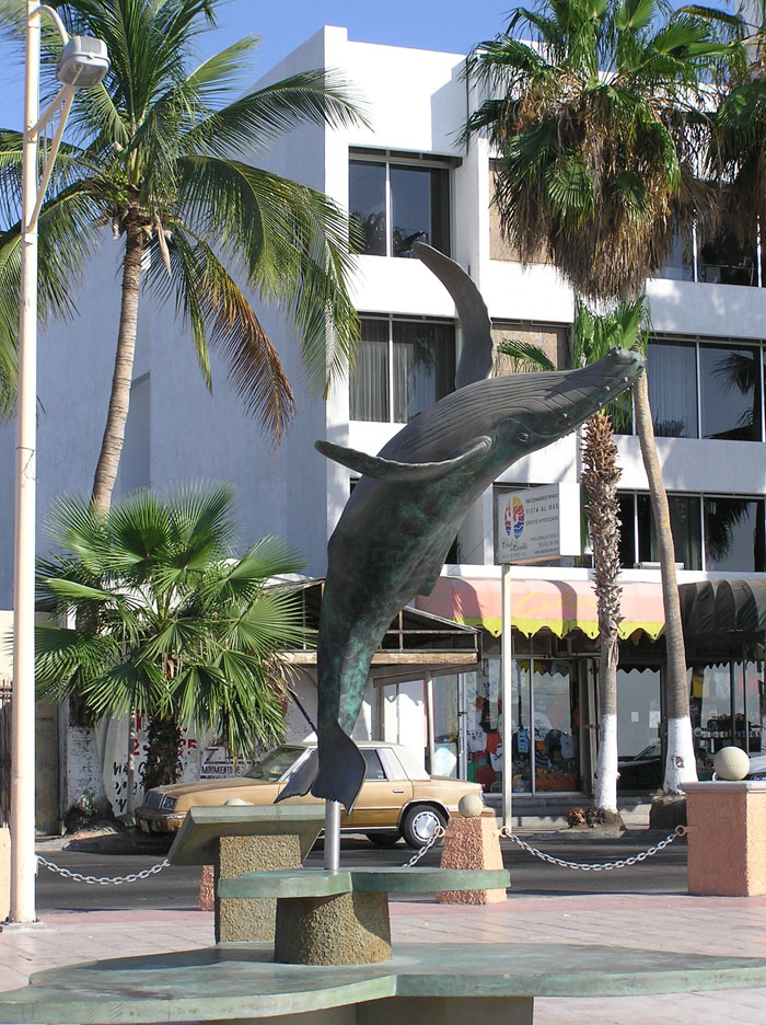 Cabo 2005 038