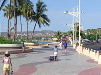 Cabo 2005 028