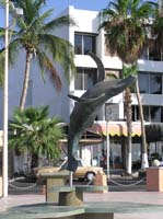 Cabo 2005 038