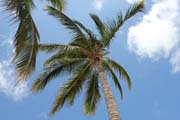 200 - IMG_8789