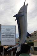 315 - IMG_8974a