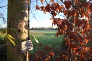 125-IMG_9047