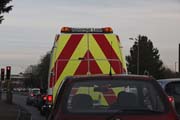 155--IMG_9035