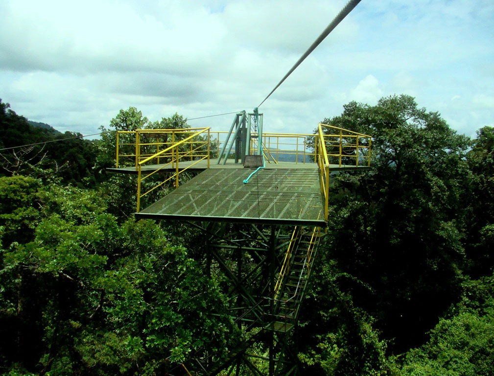 237 - DSC00453