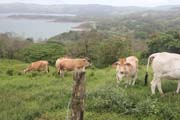 220 - IMG_8288