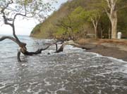 317 - DSCN0197