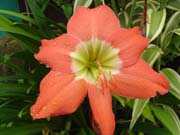 400 - DSC00366
