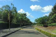 105 - DSCN0667