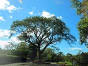 110 - DSCN0666