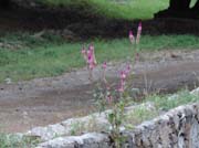 320 - DSCN0853