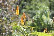 325 - IMG_1284