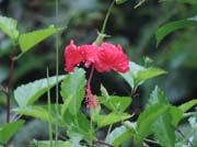 330 - DSCN0920