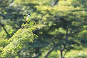 530 - IMG_1299a