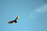 535 - IMG_1304a